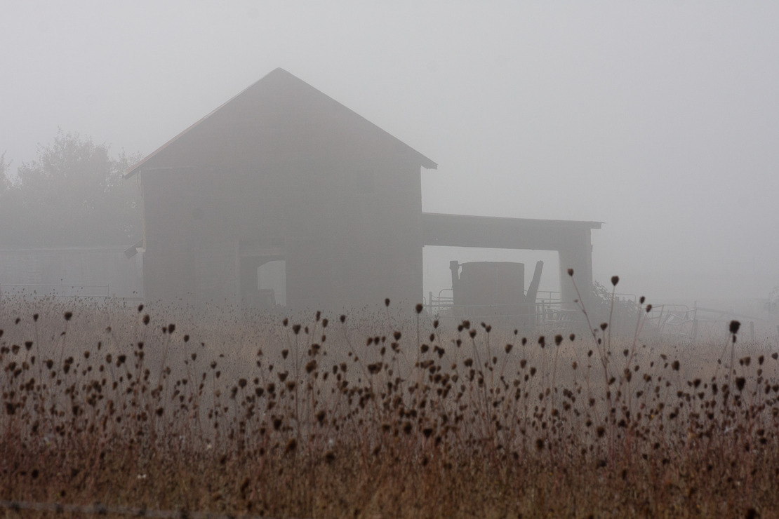 barn in fog.jpg