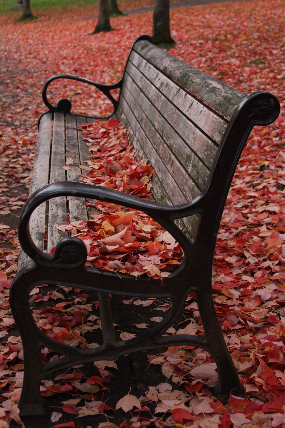 fall bench.jpg